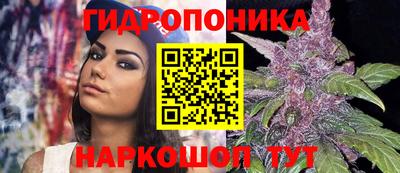 мяу мяу мука Ярцево