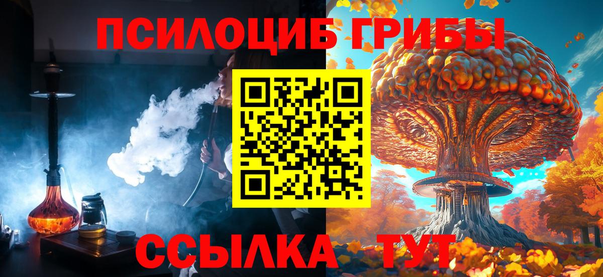 Галлюциногенные грибы мухоморы Елабуга