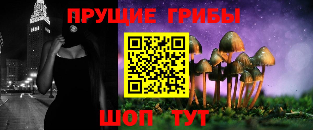 где купить   Вход с VPN  Елабуга  Псилоцибиновые грибы Magic Shrooms 